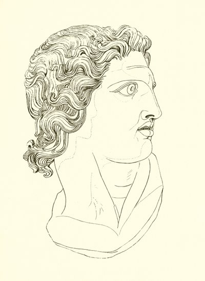 Cabeza, mostrando vigor masculino y resolución heroica de English School