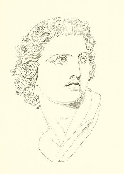 Cabeza, mostrando vigor masculino y resolución heroica de English School