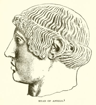 Cabeza de Apolo de English School