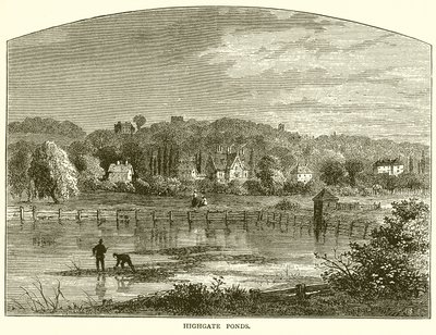 Estanques de Highgate de English School