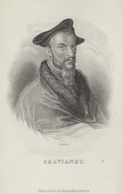 Hippolito Salviani, naturalista italiano de English School