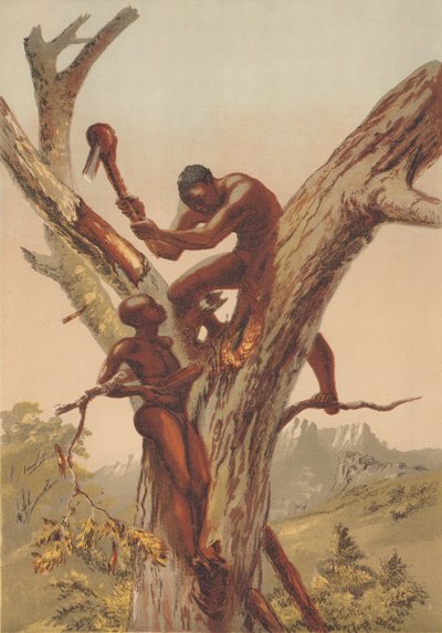 Cazadores de miel, Zambezia de English School