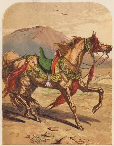 Caballo (litografía en color) de English School