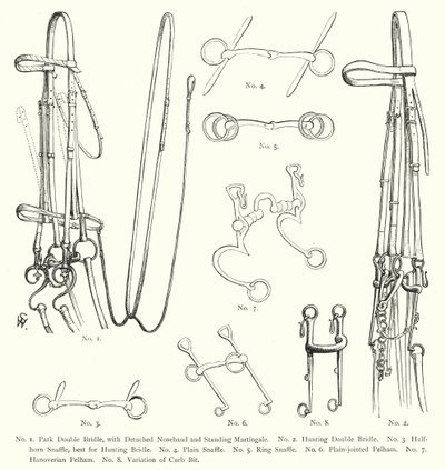 Bridas de caballo de English School