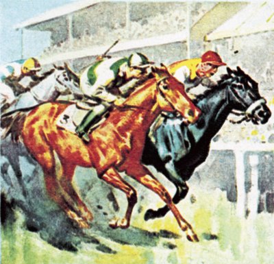 Carreras de caballos de English School