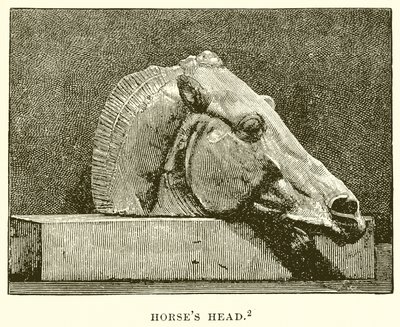 Cabeza de Caballo de English School