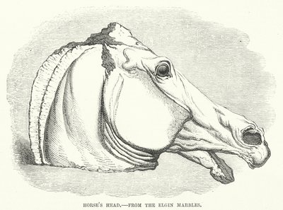 Cabeza de Caballo, de los Mármoles de Elgin de English School