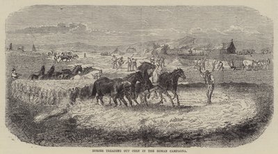 Caballos desgranando maíz en la campiña romana (grabado) de English School