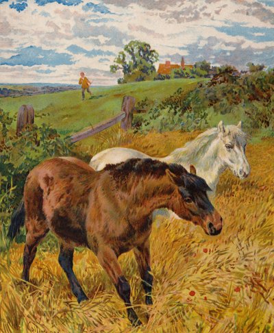 Caballos en un maizal (litografía en color) de English School