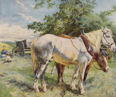 Caballos tomando un descanso del trabajo en una granja de English School