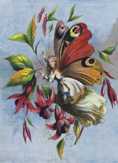 Cómo pasó el día Lady Butterfly (litografía en color) de English School