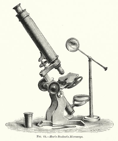 Microscopio How