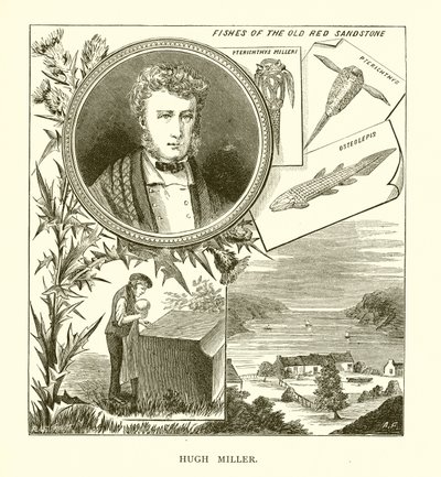 Hugh Miller de English School
