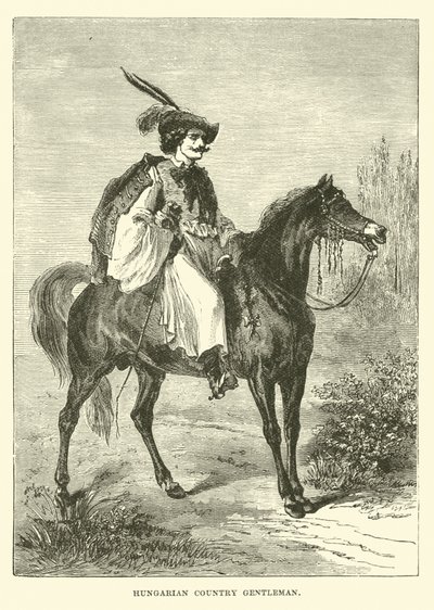 Caballero rural húngaro de English School