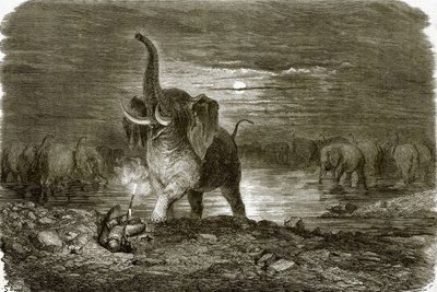 Cazador y elefante de English School