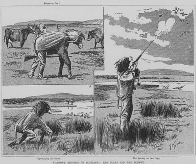 Cazador disparando aves silvestres en Escocia disfrazado de burro de English School