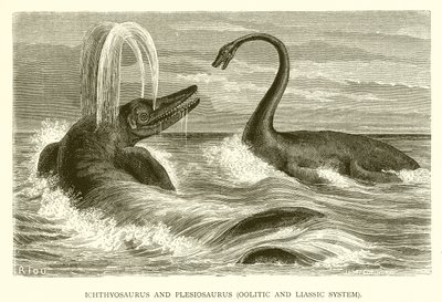 Ichthyosaurus y Plesiosaurus, Sistema Oolítico y Liásico de English School