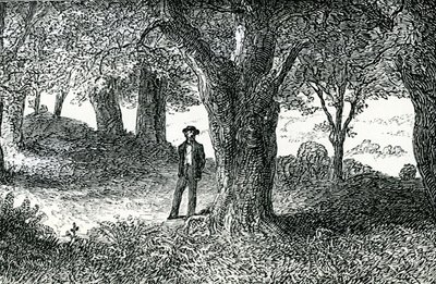 Ilustración de 