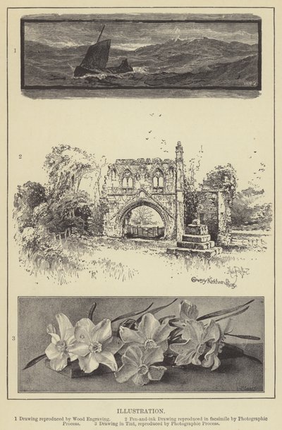 Ilustración (grabado) de English School