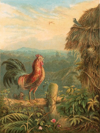 Ilustración para la Elegía de Gray de English School