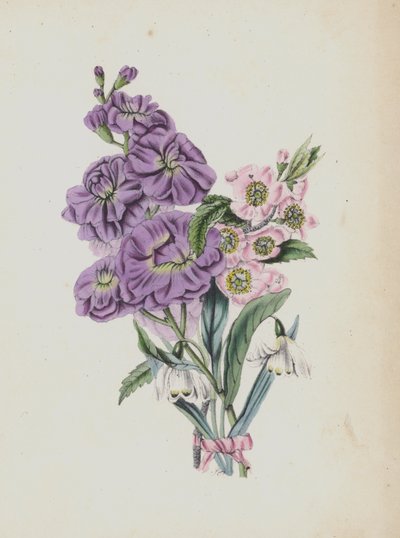 Ilustración para el álbum Moss Rose (litografía en color) de English School