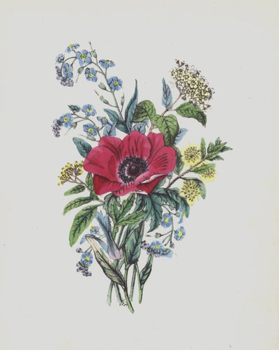 Ilustración para el álbum Moss Rose (litografía en color) de English School
