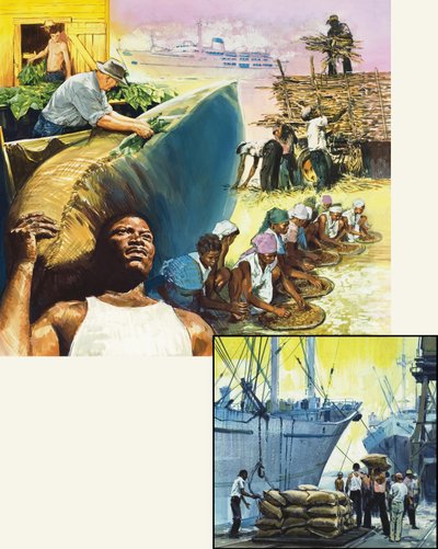 Importación y exportación de English School