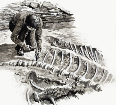 En los días de los dinosaurios: Batalla de los gigantes de English School
