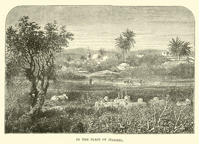 En la llanura de Jezreel de English School