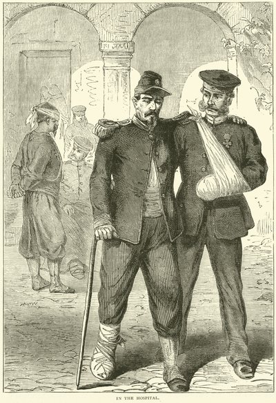 En el hospital, noviembre 1870 de English School