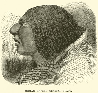 Indio de la costa mexicana de English School