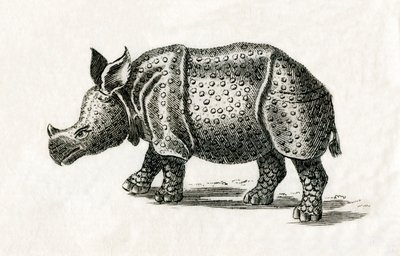 Rinoceronte indio, o rinoceronte mayor de un cuerno, Rhinoceros unicornis, de una impresión del siglo XVIII (grabado) de English School
