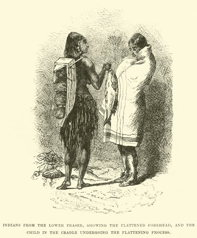 Indios del Bajo Fraser, mostrando la frente aplanada, y el niño en la cuna sometido al proceso de aplanamiento de English School