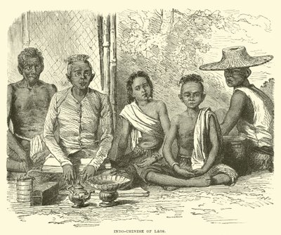 Indochinos de Laos de English School