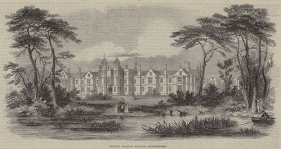 Asilo de Huérfanos Infantiles, Snaresbrook (grabado) de English School