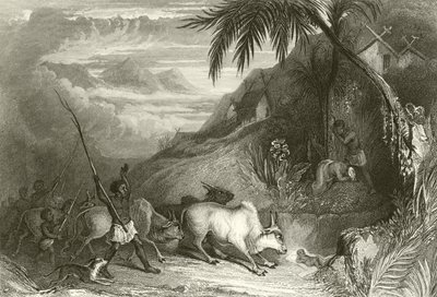 Infanticidio en Madagascar de English School