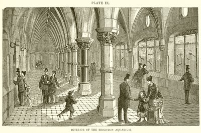 Interior del acuario de Brighton de English School