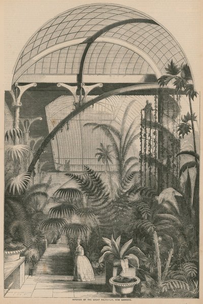 Interior del Gran Palmarum, Kew Gardens, Londres de English School