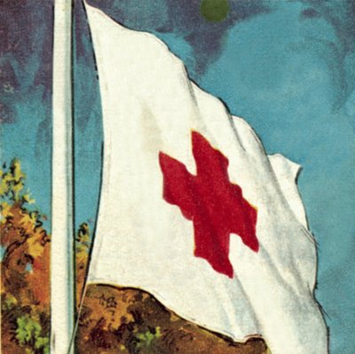 Bandera de la Cruz Roja Internacional de English School