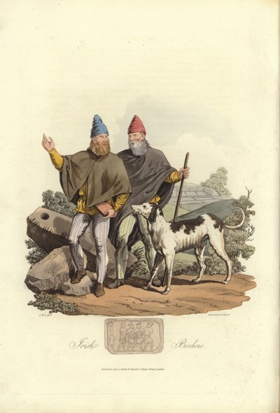 Brehons irlandeses de English School