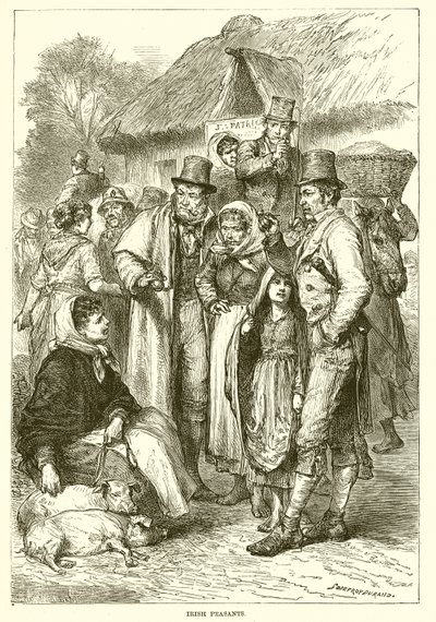 Campesinos irlandeses de English School