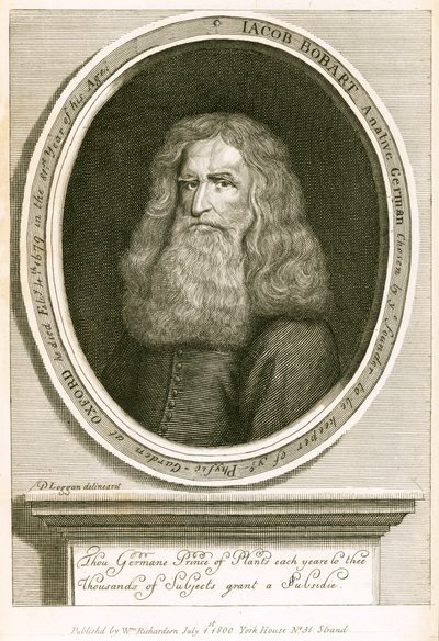 Jacob Bobart de English School