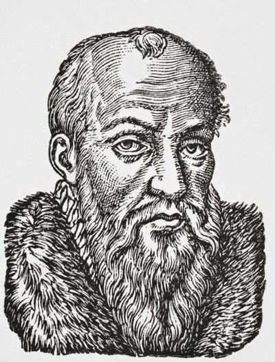 Jacques de Cujas, 1878 de English School