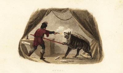 James Bruce matando a una hiena con pistola y lanza en su tienda en Maitsha, Abisinia (cerca de Gondar, Etiopía) de English School