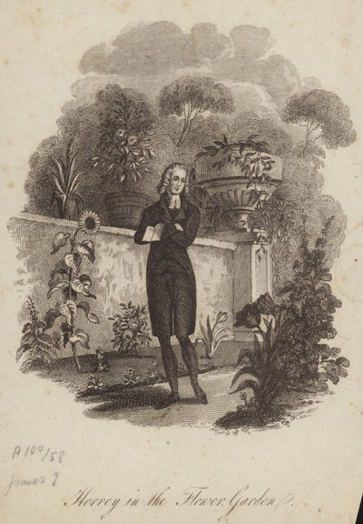 James Hervey en el jardín de flores de English School