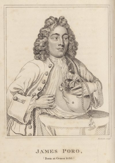 James Poro, Nacido en Génova 1686 de English School