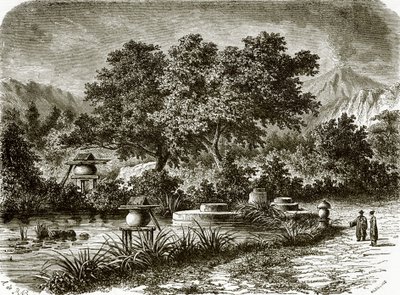 Jardines de té japoneses de English School