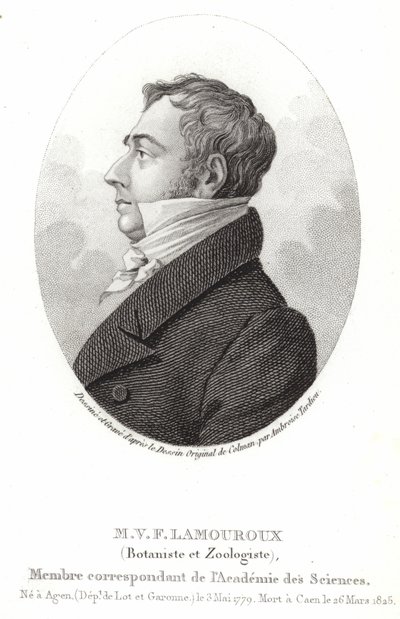 Jean Vincent Félix Lamouroux de English School