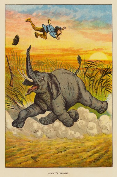 El vuelo de Jimmy (litografia en color) de English School