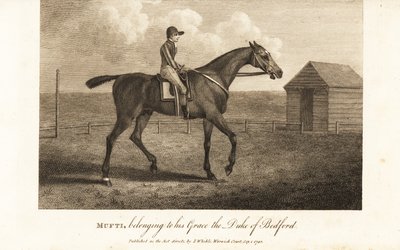 Jinete en el célebre caballo de carreras Mufti, perteneciente a su Gracia el Duque de Bedford de English School